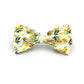 Lemon Print Dog Harness Set | Personalized Collar, Leash, Poop Bag Holder | Braided Nylon Rope