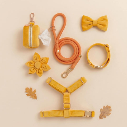 Personalized Ginger Yellow Velvet Dog Harness Optional Set | Roman Style Harness, Rope Leash, Custom Pet Name & Phone | Autumn Walking Set