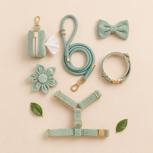 Personalized Sage Green Velvet Dog Harness Set | Custom Name Collar Leash Bow Flower Poop Bag | Mix & Match 7-Piece Set