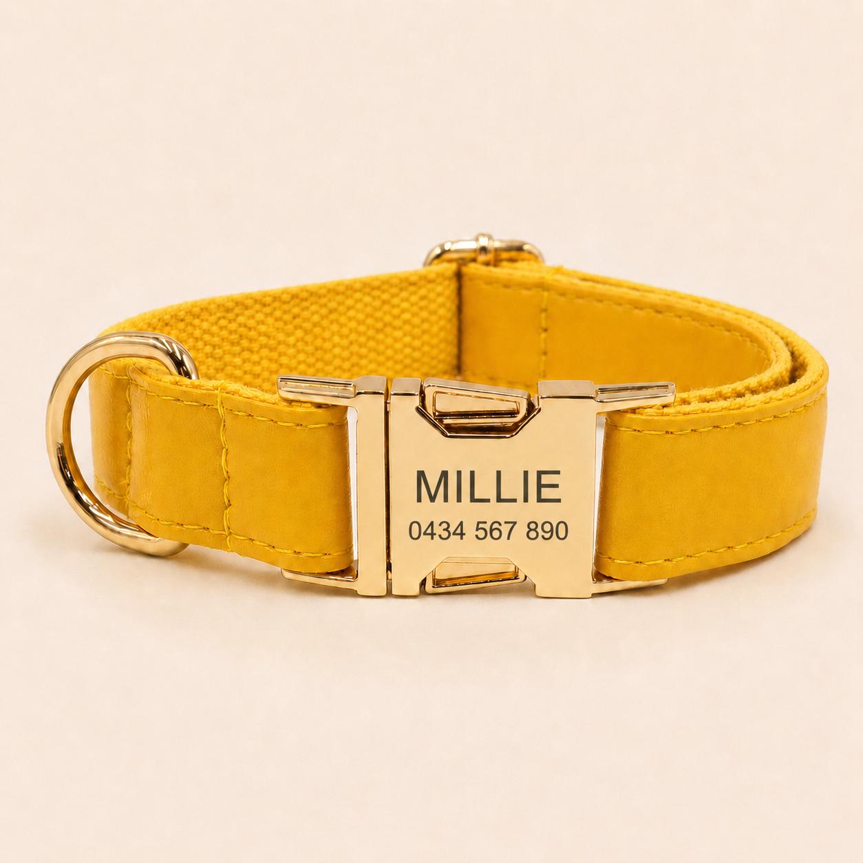 PU Leather Dog Collar, Optional Custom Airtag Holder with Engraving, Easy to Clean, Rope Leash, Matching Poop Bag