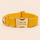 PU Leather Dog Collar, Optional Custom Airtag Holder with Engraving, Easy to Clean, Rope Leash, Matching Poop Bag
