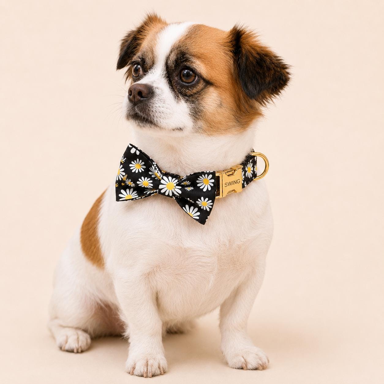 Personalized Black Daisy Dog Harness | Custom Name Collar Leash Bowtie Poop Bag | Mix & Match Walking Set | Floral Print XS-XL