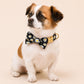 Personalized Black Daisy Dog Harness | Custom Name Collar Leash Bowtie Poop Bag | Mix & Match Walking Set | Floral Print XS-XL