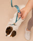 Hands Free Dog Leash and Matching Collar Set | Blue Geometric Pattern | Adjustable Waist Leash | Running Walking Leash | Gift for Dog Mom 1