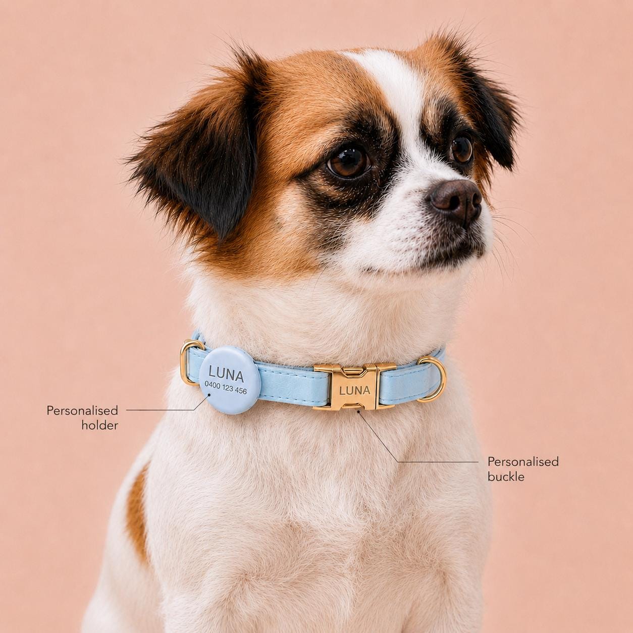 PU Leather Dog Collar, Optional Custom Airtag Holder with Engraving, Easy to Clean, Rope Leash, Matching Poop Bag