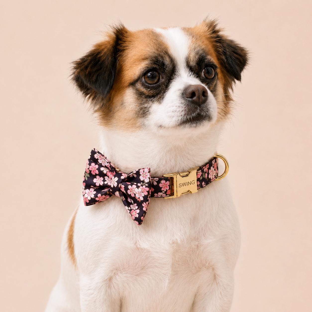 Black Floral Dog Harness, Custom Name Collar Optional Matching Leash Bow | Mix & Match 7-Piece Set XS S M L XL
