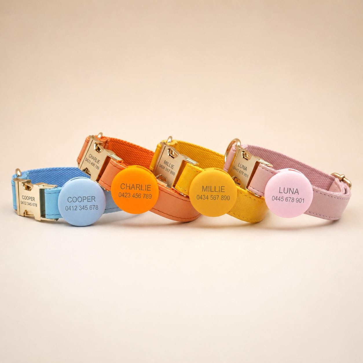 PU Leather Dog Collar, Optional Custom Airtag Holder with Engraving, Easy to Clean, Rope Leash, Matching Poop Bag