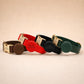 PU Leather Dog Collar, Custom AirTag Holder, Engraved Name, Rope Leash, Poop Bag, Dog Walking Set Gift, Black|Red|Green|Brown