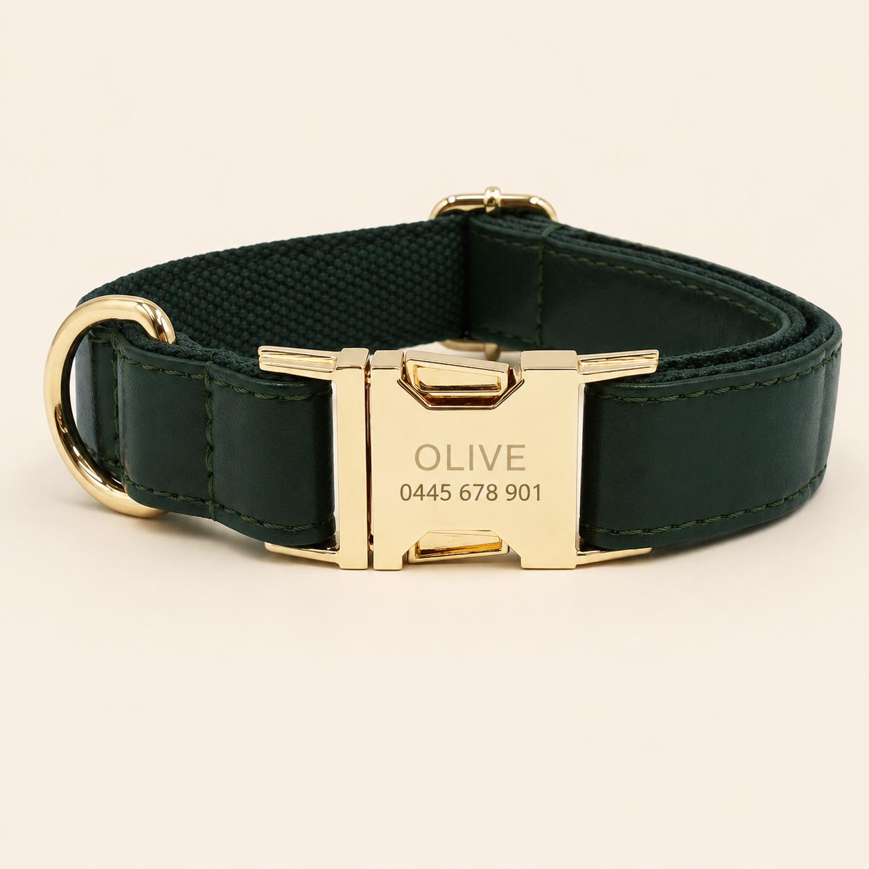 PU Leather Dog Collar, Custom AirTag Holder, Engraved Name, Rope Leash, Poop Bag, Dog Walking Set Gift, Black|Red|Green|Brown