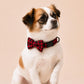 Buffalo Plaid Dog Harness Personalized, Custom Name Collar Leash Set, Red Black Check Walking Set, Different Combo