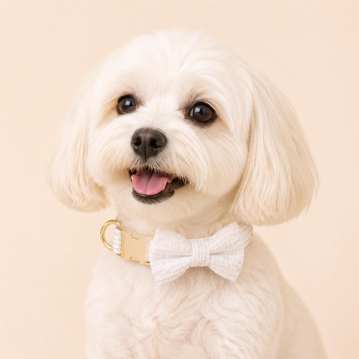 White Tweed Dog Harness Set, Personalised Luxury Boucle Collar Leash Bow Tie | Engraved Gold Buckle Mix & Match XS S M L XL