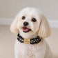 Black Tweed Dog Harness Optional Leash Set with Frayed Trim, Personalised Chunky Boucle Collar | Engraved Gold Buckle XS S M L XL