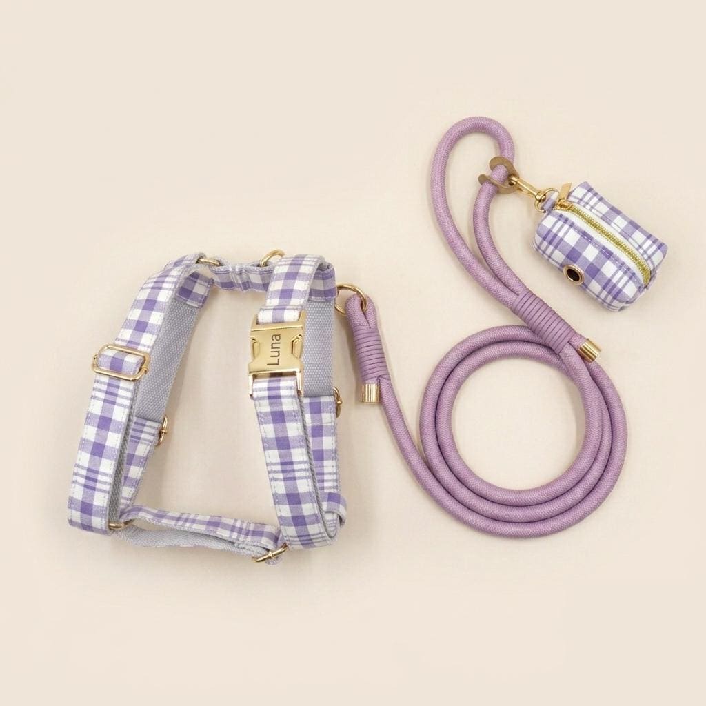 Custom Lilac Tartan Dog Harness Set, Personalized Name Collar & Rope Leash, Plaid Puppy Walking Kit XS-XL