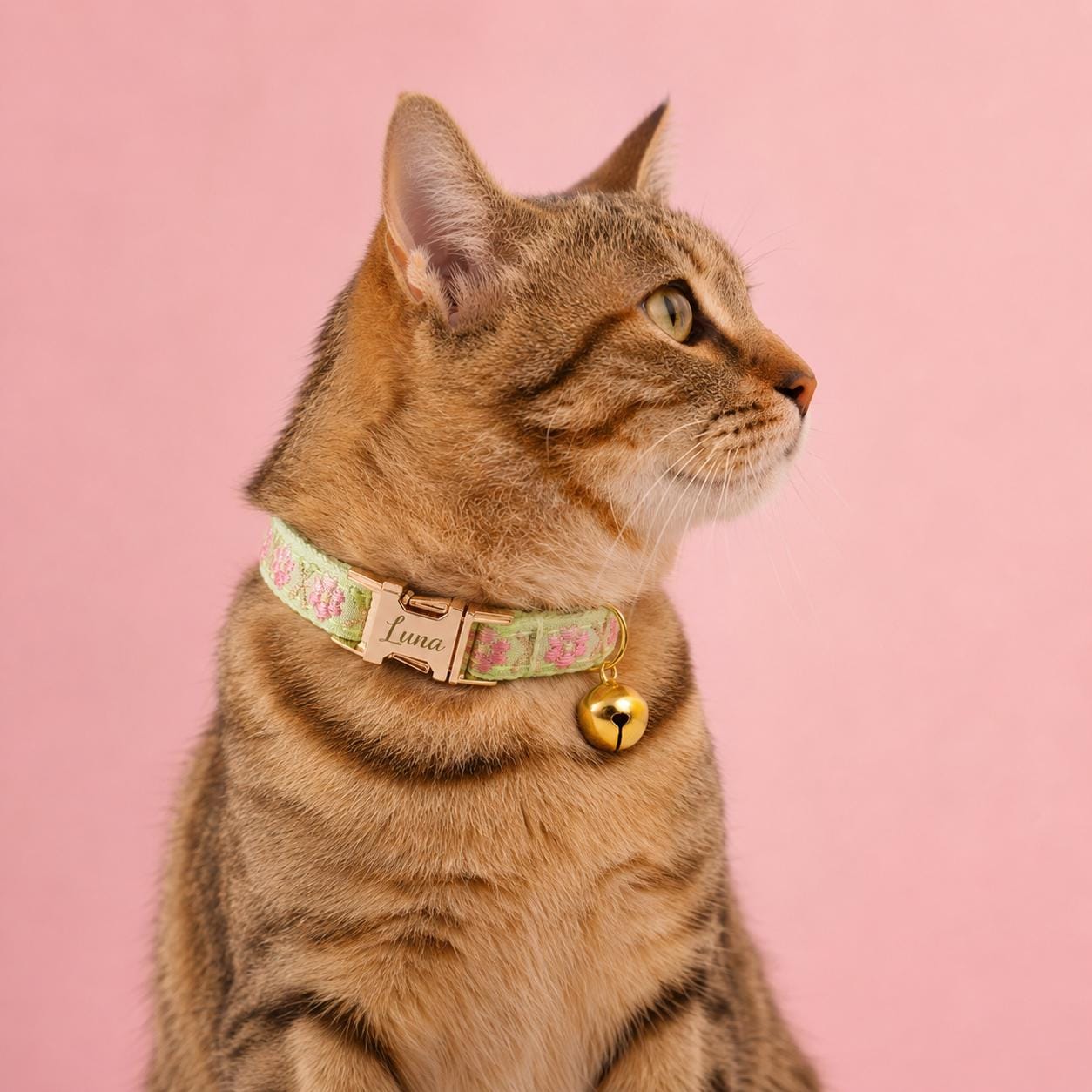 Floral Embroidered Cat Collar, Engraved Name Buckle, Adjustable Kitten Pet Collar