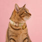 Floral Embroidered Cat Collar, Engraved Name Buckle, Adjustable Kitten Pet Collar