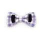 Custom Lilac Tartan Dog Harness Set, Personalized Name Collar & Rope Leash, Plaid Puppy Walking Kit XS-XL